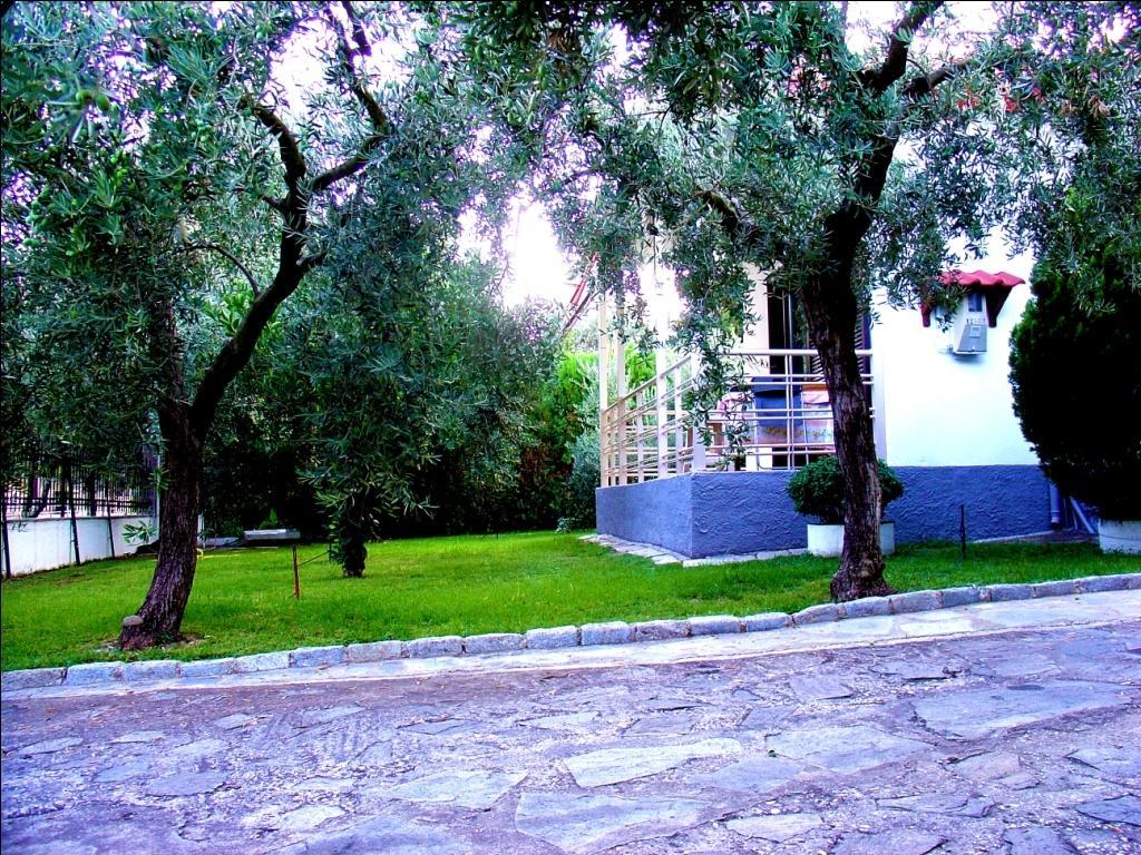 Dimos Bungalows PalaiónTsiflíkion Kamer foto